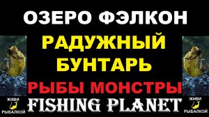 Монстр радужный бунтарь на озере Фэлкон, Fishing planet