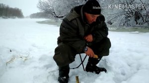 Сахалинская кунжа.3