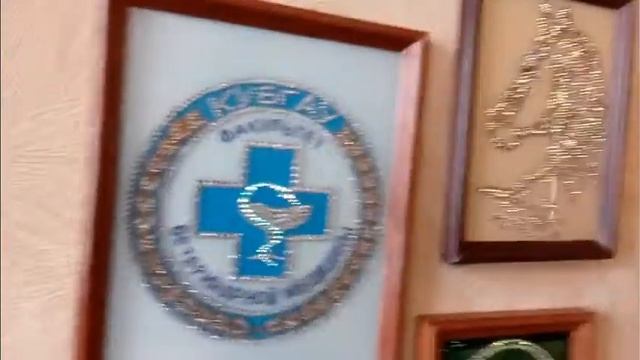 Идеальный подарок-персонализированные украшения стразами . Инкрустация стразами эмблем