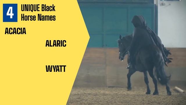 Top 30 Most Popular Black Horse Names смотреть онлайн