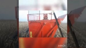 16.10.19. Уборка кукуруза осень 2019. МТЗ-80 и МТЗ-892. Sip Tornado 80