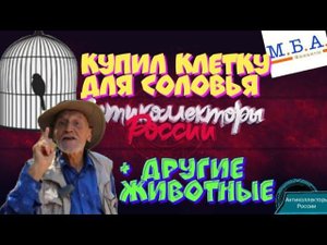 КУПИЛ КЛЕТКУ ДЛЯ СОЛОВЬЯ | ДРУГИЕ ЖИВОТНЫЕ | МБА ФИНАНС | РАЗГОВОРЫ С КОЛЛЕКТОРАМИ 2020 | ГАГАРИН