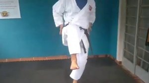 Treino de MAEGERI - KARATÊ EM CASA - Shotokan - SJC