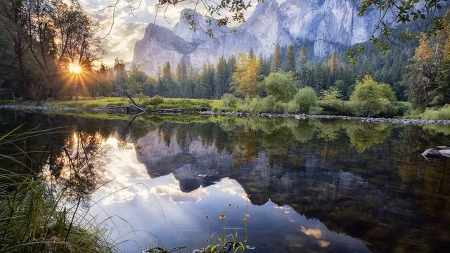 Она не давала покоя семье своего сына. В итоге сын не выдержал Истории смотреть онлайн