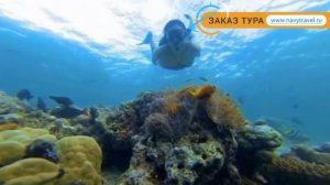 KURUMBA MALDIVES 5* Мальдивы обзор – отель КУРУМБА МАЛЬДИВЫ 5* Мальдивы видео обзор