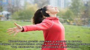 Что делать, если кошка или кот тяжело дышит открытым ртом?