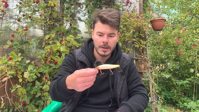 Воблеры, на которые реально КЛЮЁТ щука.