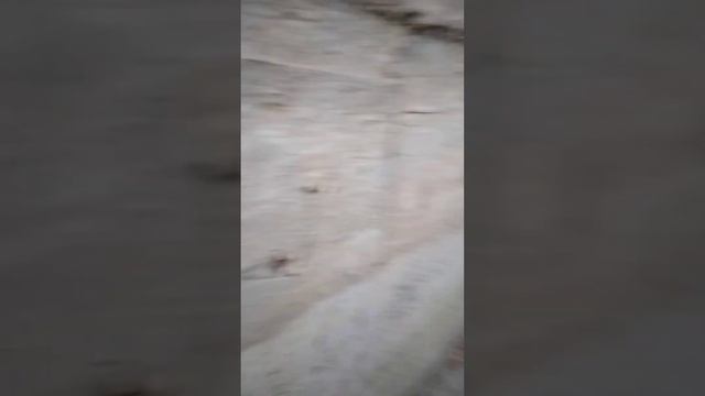 гуляю с саадом (за 2 лайка мы будем обходить 3 улицы) смотреть онлайн