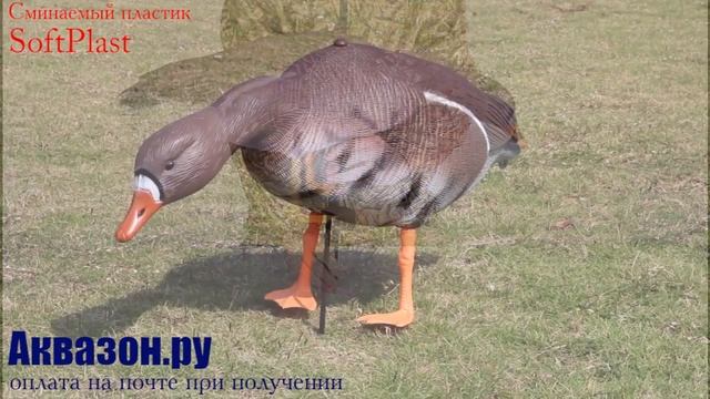 Чучела гусей и уток