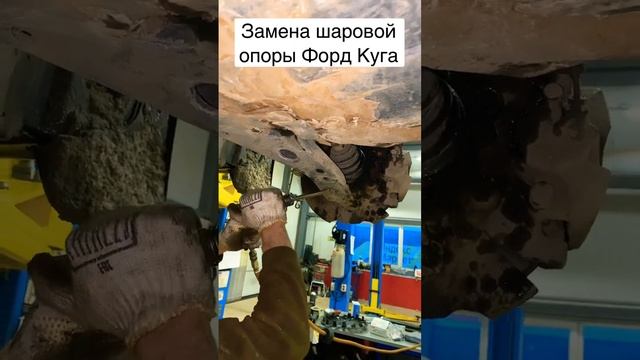 Как поменять шаровую опору Форд Куга