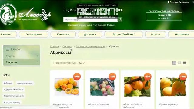 Оформление заказа на сайте ЛЕСОДАР