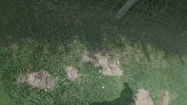 Mole Control on a North Wales farm. смотреть онлайн