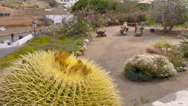 Fuerteventura 2022 | TOP PLACES | Travel Guide | Best Beaches | Canary Islands | Corralejo |Food смотреть онлайн