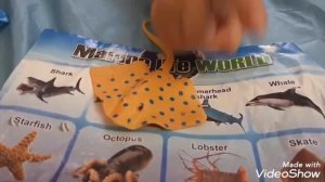 Морские животные. Развивающее видео про морских обитателей