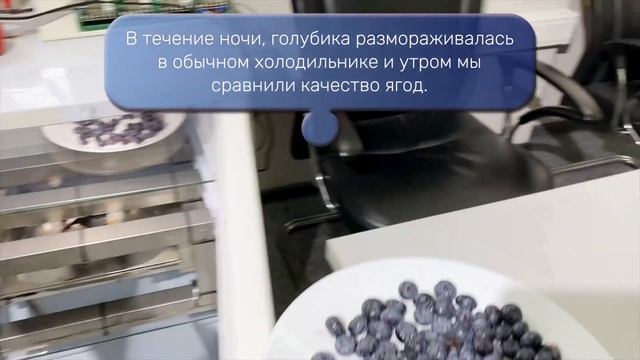 Что будет с голубикой после заморозки через 6 месяцев?