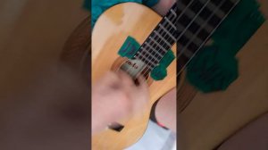 Седьмой лепесток - (cover) @AkStar На гитаре.