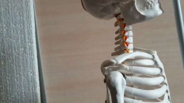 Как повороты головы вредят шее и мешают кровоснабжению мозга. Как правильно двигать шеей? смотреть онлайн