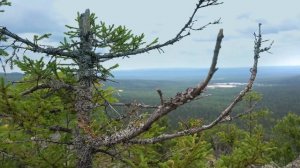 Прогулка на южную вершину горы Белая