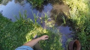 супер рыбалка в луже на поплавок