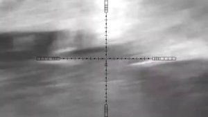 Ночная охота на Бобра с 223кл. Пульсар ультра 455 LRF.