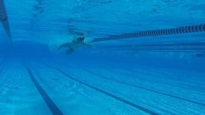 КАК ДЕЛАТЬ ГРЕБОК В КРОЛЕ (100% РЕЗУЛЬТАТ)