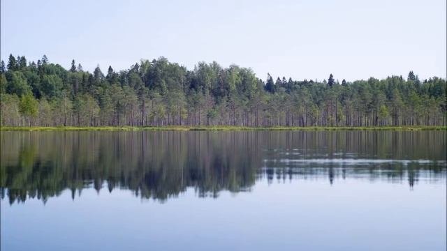 ?Практика Присутствия или ВДОХНОВЕННОЕ РУКОВОДСТВО ПО ОБРЕТЕНИЮ ЦЕЛИ И СМЫСЛА ЖИЗНИ?Тому, Кто Имеет