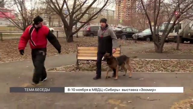 06 11 Что такое Мондьоринг