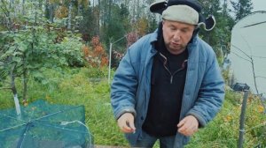 ОПАСНОСТЬ ДЛЯ ОБИТАТЕЛЕЙ ПРУДА | БОРЬБА С ВРЕДИТЕЛЕМ - ЖУК ПЛАВУНЕЦ