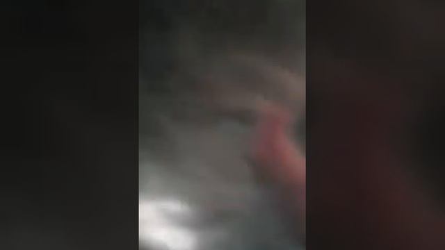 Рыбы не едят траву смотреть онлайн