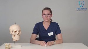 Ортодонтия. Ретейнеры на зубы после брекетов. Уход за ретейнерами