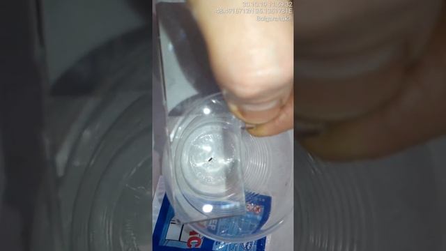 Тараканы. Супер фас - супер лохотрон! смотреть онлайн