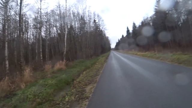 Охота #254 загонная на лося смотреть онлайн