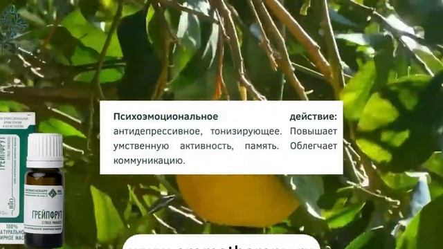 Натуральное эфирное масло Грейпрфрут от IRIS смотреть онлайн
