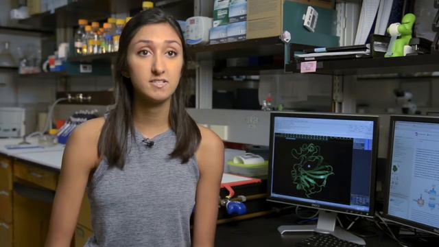 Глубоководные бактерии могут помочь нейтрализовать диоксид углерода смотреть онлайн