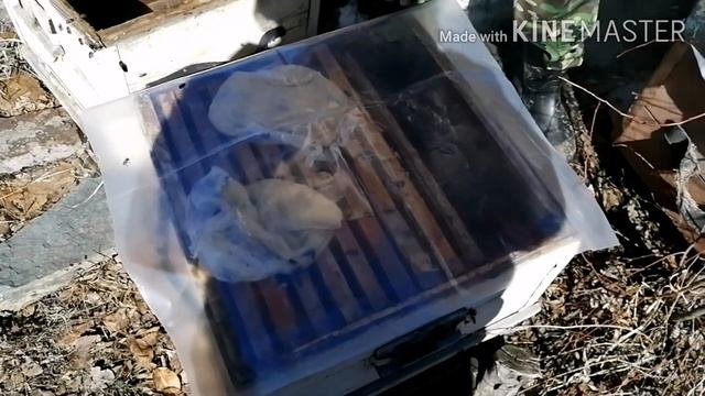 Первые весенние  работы на пасеке./ Пчеловодство на Урале