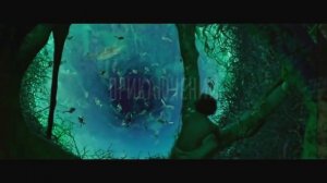 6 лучших фильмов о животных