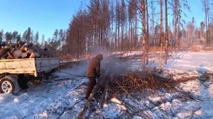 Работа бензопилой ZimAni MS250 PRO в мороз. Иркутск. -33 градуса.