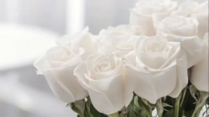 Ах эти белые розы