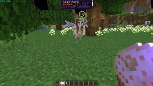 Minecraft 1.19.2 - Player Companions mod