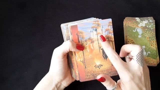 The Feline Rider Tarot.Милейшее таро с котиками в моей коллекции.