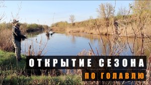 Открытие сезона по голавлю