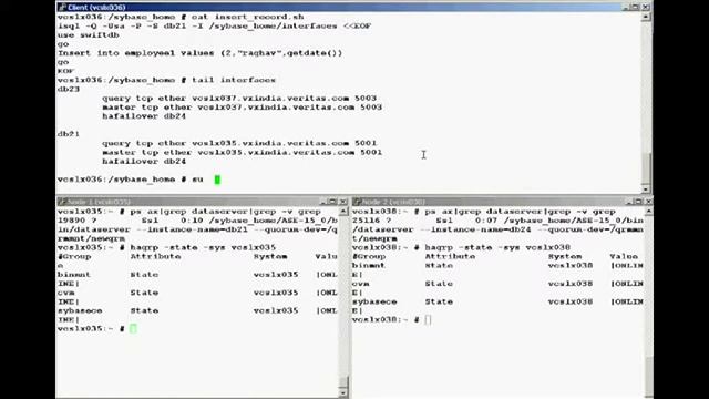 Screencast- Storage Foundation 6.0 Sybase ASE - Demonstration смотреть онлайн