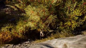 Assassin's Creed Odyssey nude greece mod