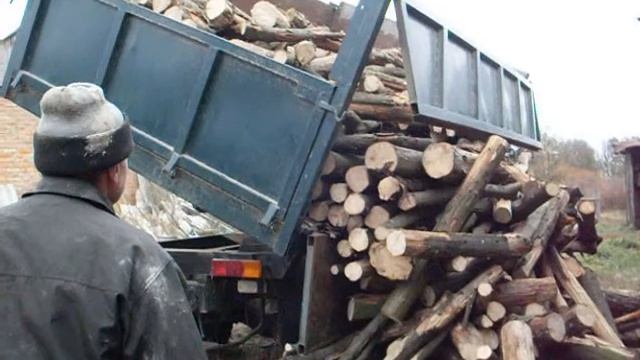 Дрова. Село. Откуда дровишки?"- "Из лесу, вестимо"
