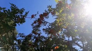 Остров Любви | Адыгея  Лаго-Наки | Лагонакское нагорье |  Азишская пещера | Камень" Алатырь"