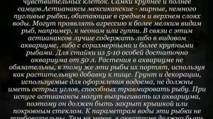 Аквариумная рыбка Астианакс мексиканский