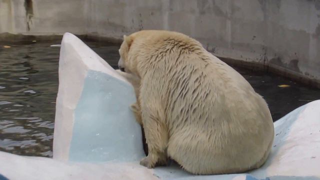 Ростик добился своего! 05.10.16 смотреть онлайн