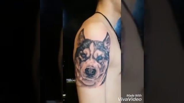 M-Art-Ink Tattoo Husky gestochen von MartInk смотреть онлайн