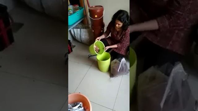 Home Composting Demo by Ms. Shyamala смотреть онлайн