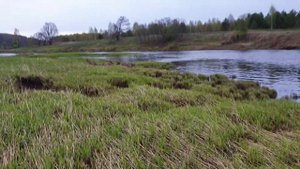 Весенние прогулки в Смоленской области (май 2022 г.). Чего только не увидешь и не найдешь.